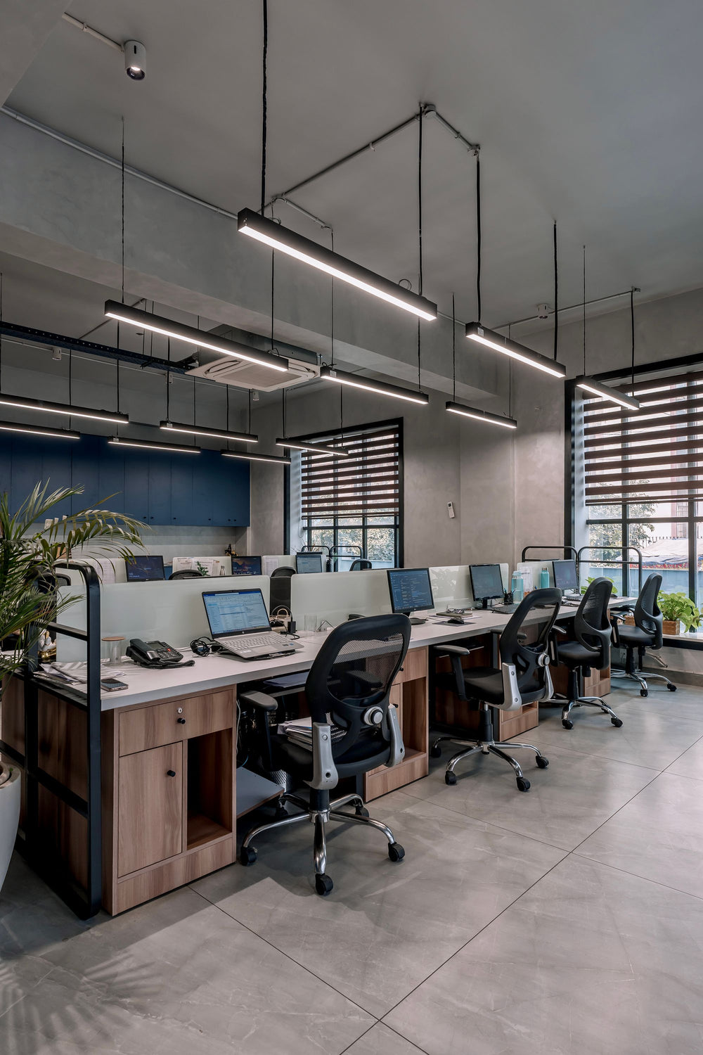 YMC Office